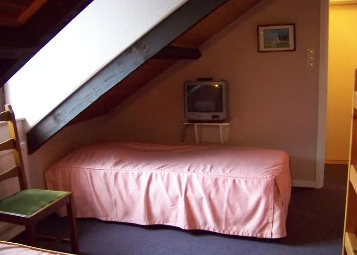 Le Vieux Moulin Hotel 3*